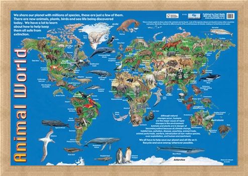 Framed Framed Animals of the World - Animal World Map
